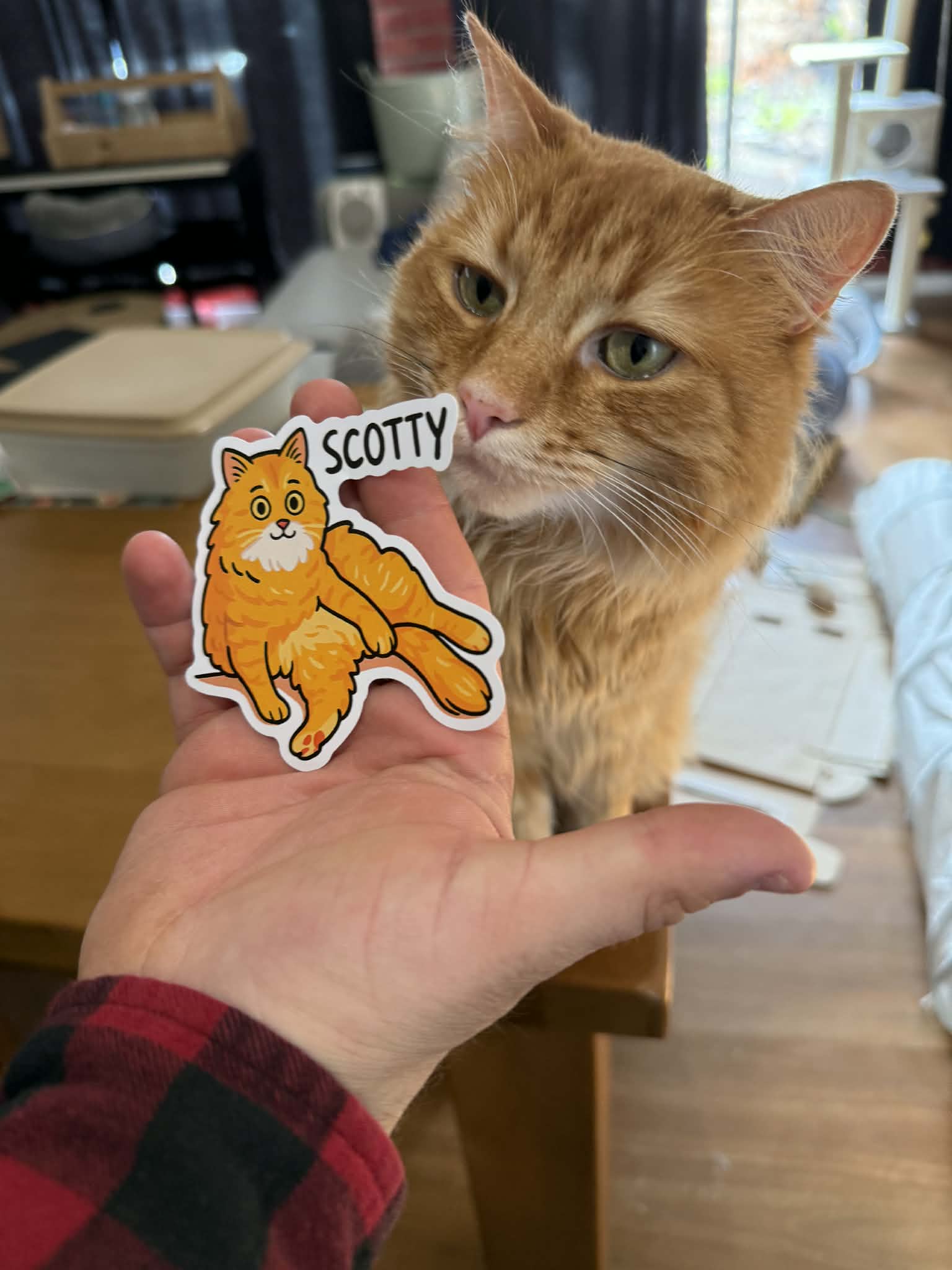 Scotty the Cat Sticker