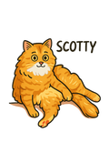 Scotty the Cat Sticker