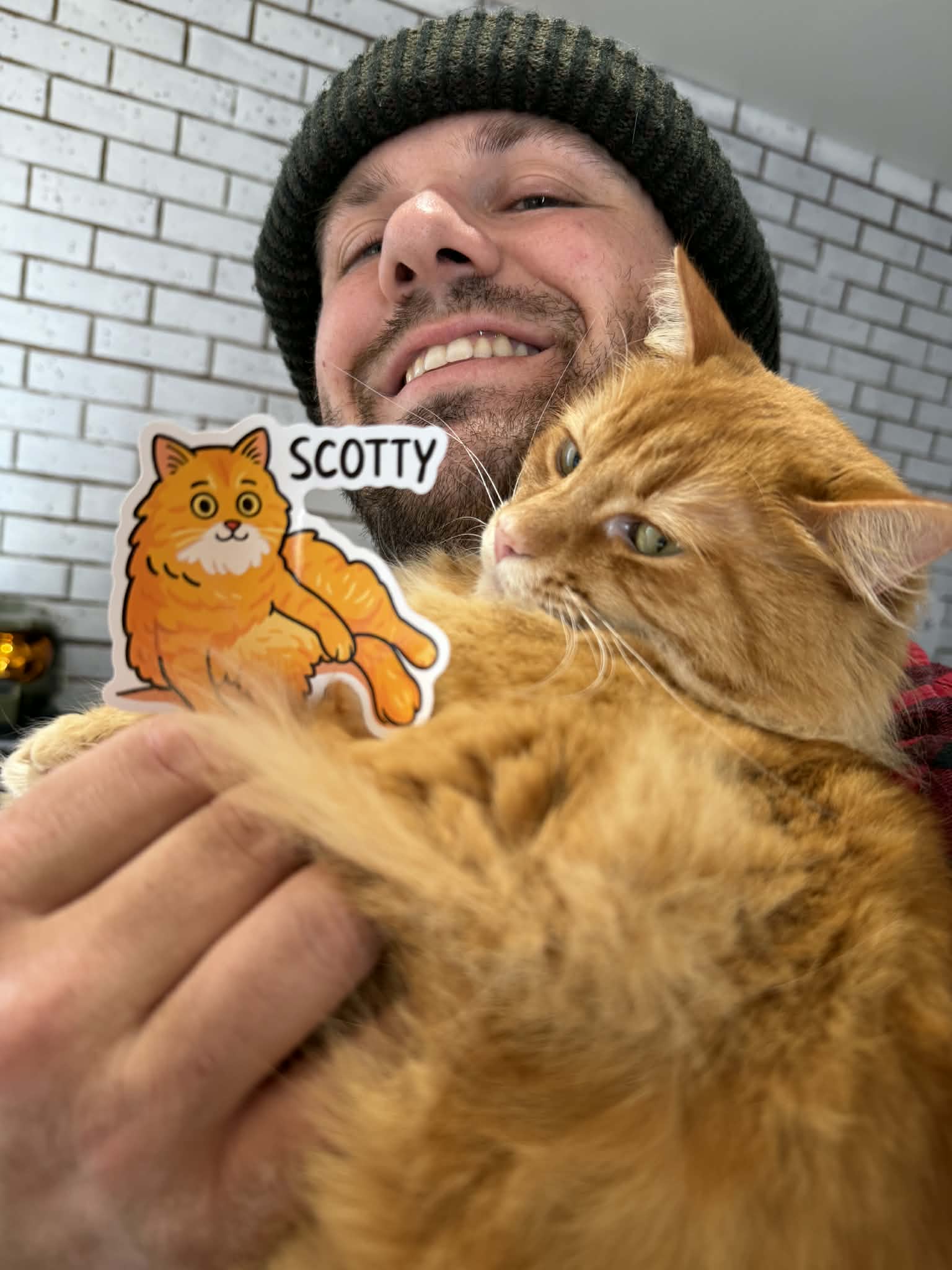Scotty the Cat Sticker