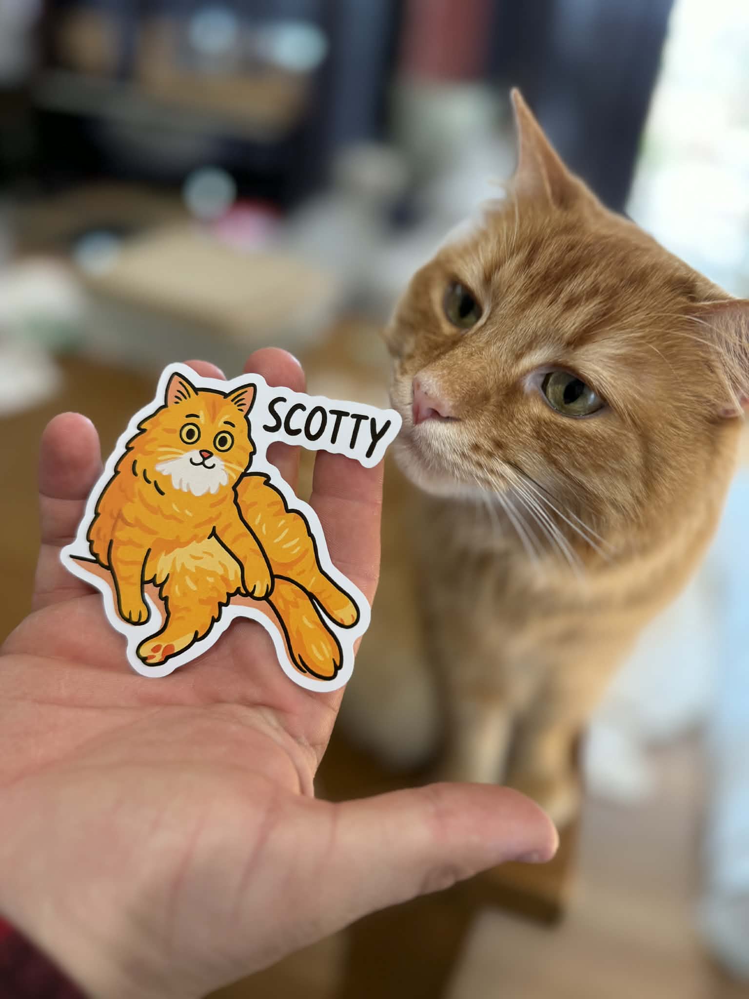 Scotty the Cat Sticker